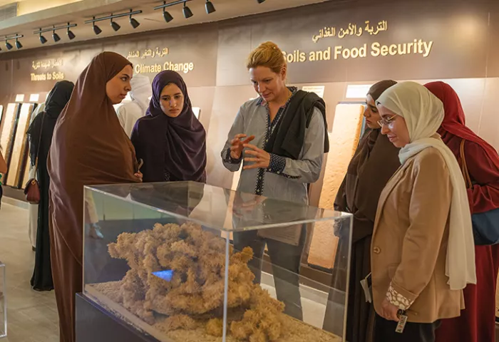 A Growing Knowledge Hub