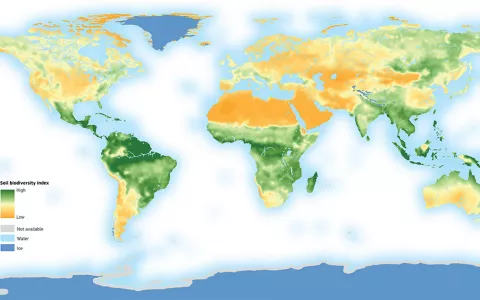 Estimated global distribution of soil biodiversity. Orgiazzi A, Bardgett RD, Barrios E, et al. Global Soil Biodiversity Atlas. 2016. Luxembourg: European Commission, Publications Office of the European Union. https://www.sciencedirect.com/science/article/pii/B9780128096659098220 