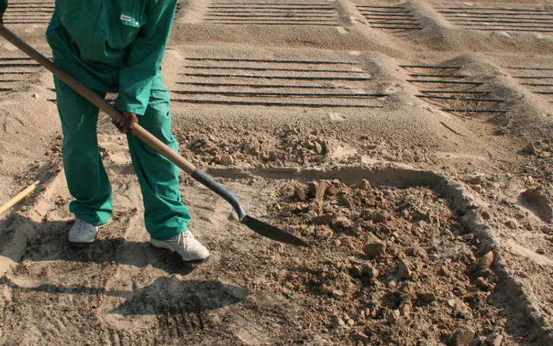 Amendments and Fertilizers