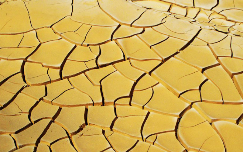 Global Warming and Drylands