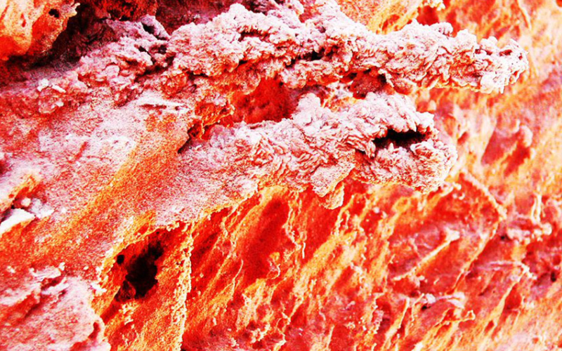 Gypsum Formed in Many Shapes