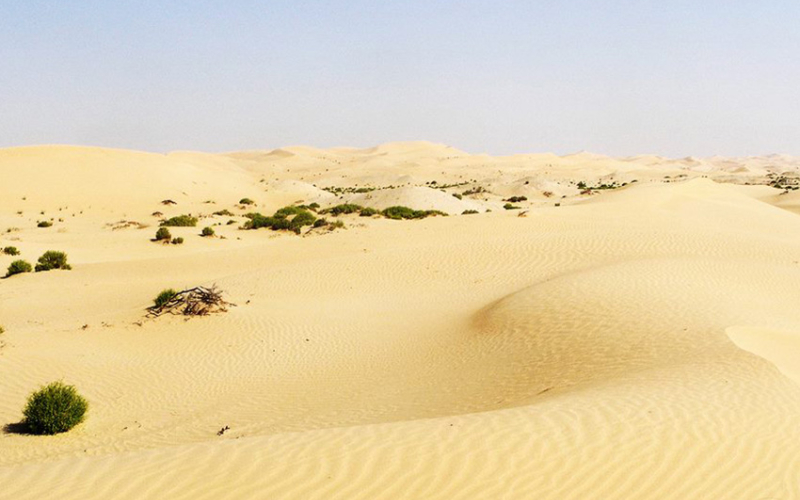 Low Quality Sandy Soil